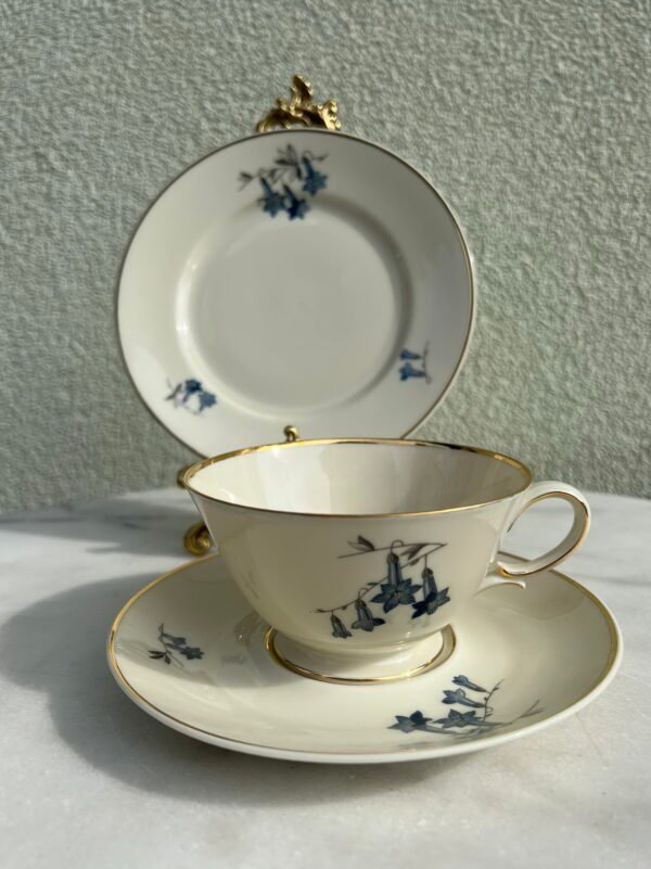 Puodeliai su dviem lėkštutėmis porcelianiniai Bavaria Tirschenreuth Germany Porzellan. Vokietija. Puodelio talpa 250 ml. 5 vnt. Kaina po 23