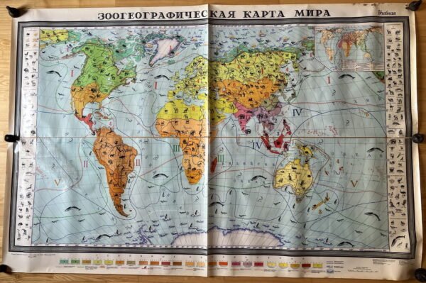 Žemėlapis Pasaulio zoografinis, sovietinis, tarybinių laikų, rusų k., 1978 m., didelis: 128 x 193 cm. 4 vnt. Kaina po 43