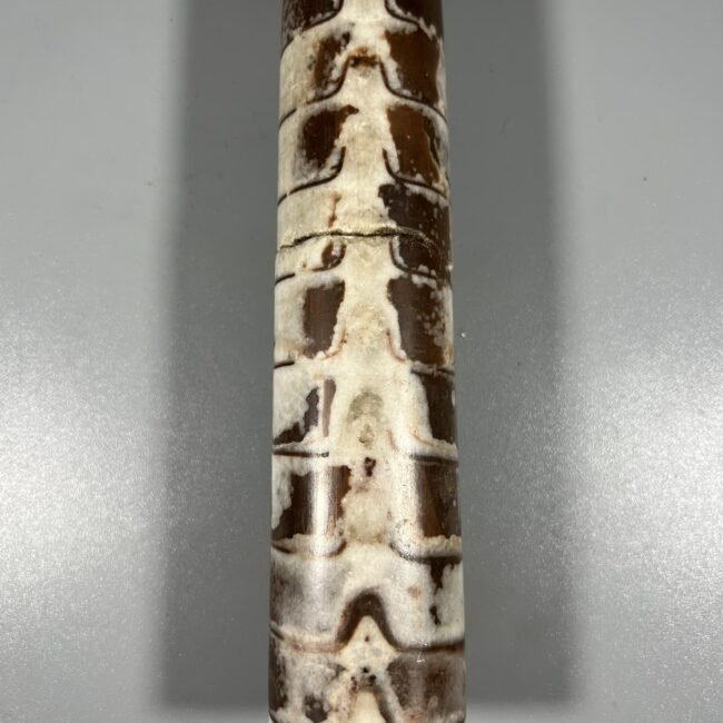 1434781574_447461264325056_4015521532709137180_n.jpg 1434781574_447461264325056_4015521532709137180_n.jpg