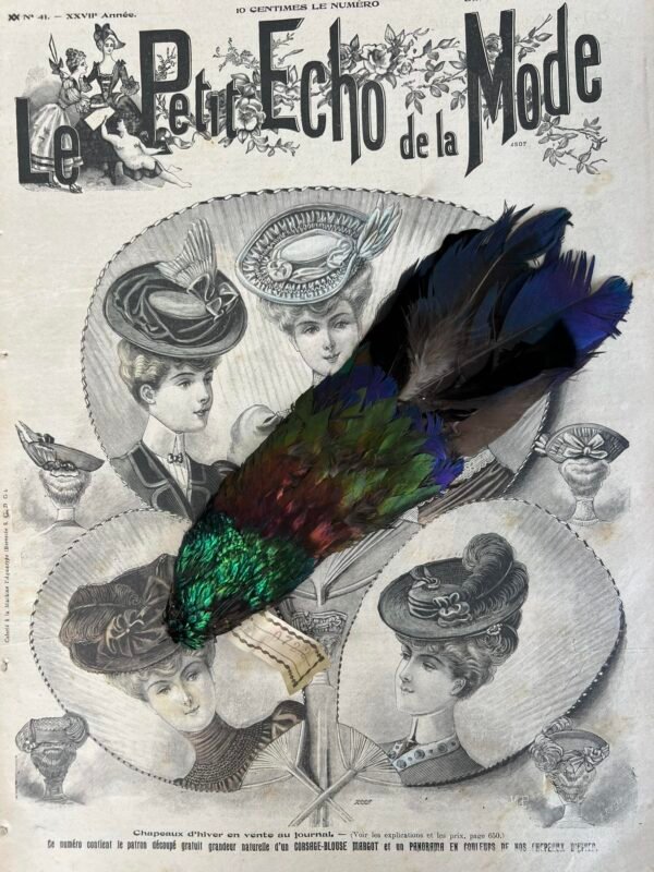 Skrybėlių, kepurių papuošalas, skrybėlių plunksna, antikvarinė, prancūziška. Išlikusi etiketė. Kaina 41