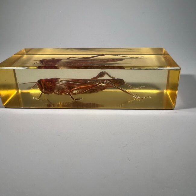 1441178377_324826387306397_7303951538537098261_n.jpg 1441178377_324826387306397_7303951538537098261_n.jpg