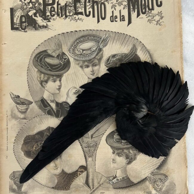 1447634355_999784954485323_2065243979198867477_n.jpg 1447634355_999784954485323_2065243979198867477_n.jpg