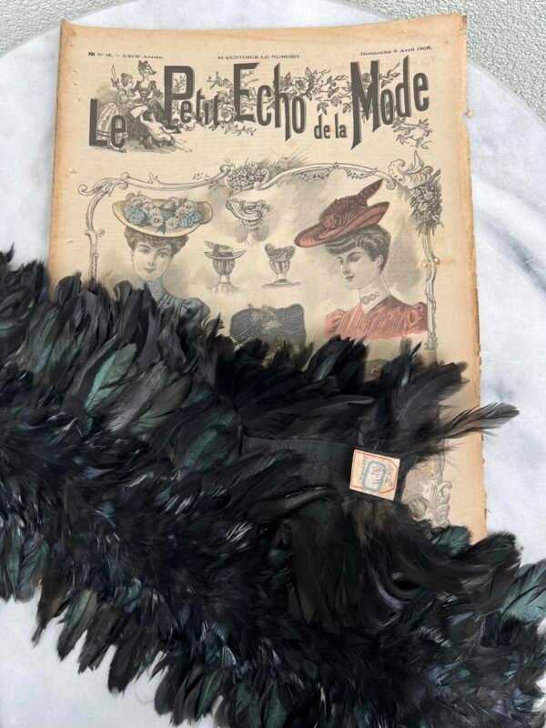 Skrybėlių, kepurių papuošalas, skrybėlių plunksna, apykaklė, aksesuaras, antikvarinė, prancūziška. Išlikusi etiketė. Ilgis 100 cm. Kaina 73