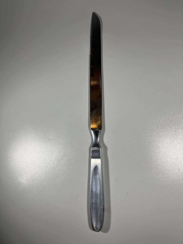 Peilis medicinis, chirurginis. Ilgis 31,5 cm. Kaina 33