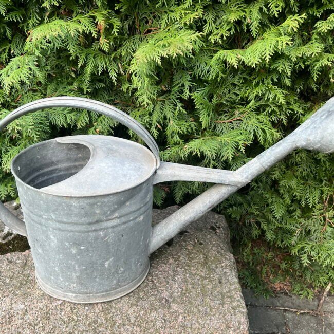 1489309243_29383735771240156_8120184545485753464_n.jpg 1489309243_29383735771240156_8120184545485753464_n.jpg