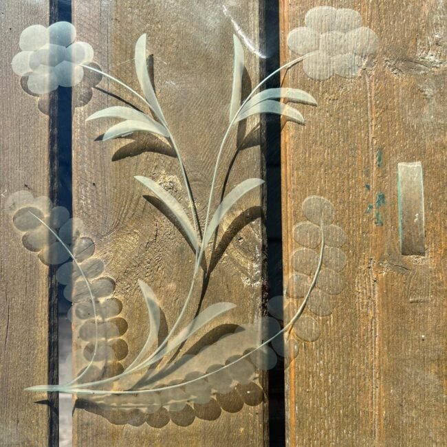 277455031_1210646376369398_6512628568005320118_n.jpg 277455031_1210646376369398_6512628568005320118_n.jpg