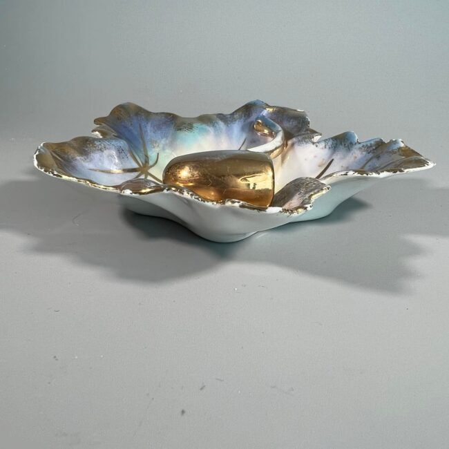 277899458_348690767288601_2965520687332473507_n.jpg 277899458_348690767288601_2965520687332473507_n.jpg