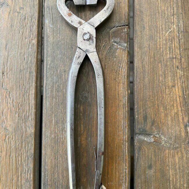 279081426_545261793672724_6052713416657617120_n.jpg 279081426_545261793672724_6052713416657617120_n.jpg