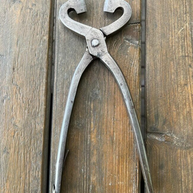 279130200_2061118600730049_9099000450927305020_n.jpg 279130200_2061118600730049_9099000450927305020_n.jpg