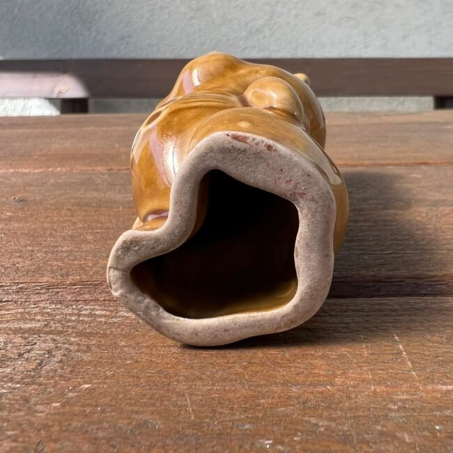 279631019_562558631860231_1581003747816124038_n.jpg 279631019_562558631860231_1581003747816124038_n.jpg