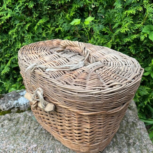 283297003_722238915567049_443976420396413255_n.jpg 283297003_722238915567049_443976420396413255_n.jpg