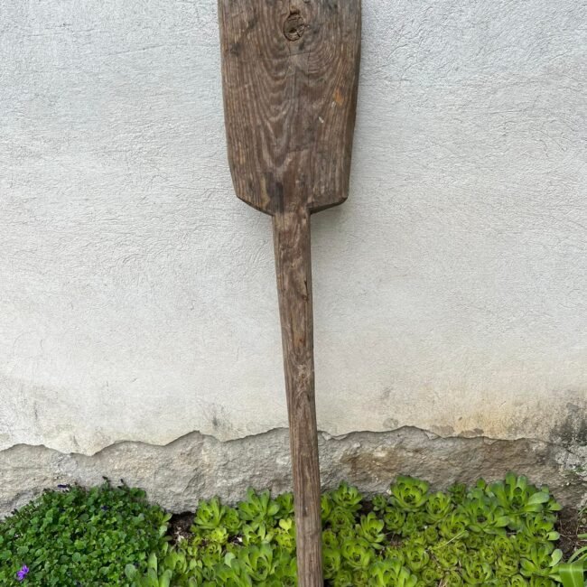 283768335_1265442767193080_3379538152025194046_n.jpg 283768335_1265442767193080_3379538152025194046_n.jpg