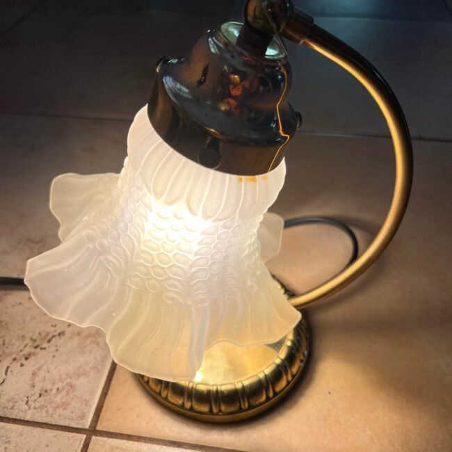 285263045_1866918493513105_563853630541110081_n.jpg 285263045_1866918493513105_563853630541110081_n.jpg