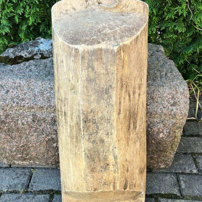 286518675_511556930972916_6643868258937196076_n.jpg 286518675_511556930972916_6643868258937196076_n.jpg