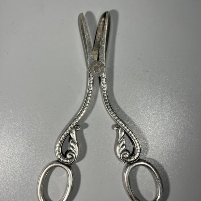 292655219_438617241506098_1267262432679664070_n.jpg 292655219_438617241506098_1267262432679664070_n.jpg