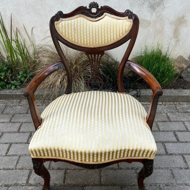 295961770_583817686682334_28976587691195337_n.jpg 295961770_583817686682334_28976587691195337_n.jpg