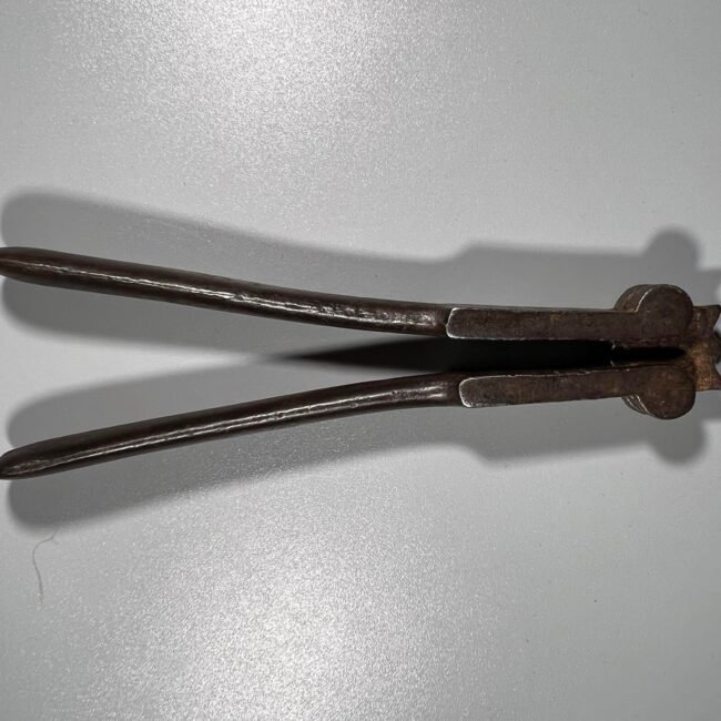 310754876_5362181863830244_8798875546337204882_n.jpg 310754876_5362181863830244_8798875546337204882_n.jpg