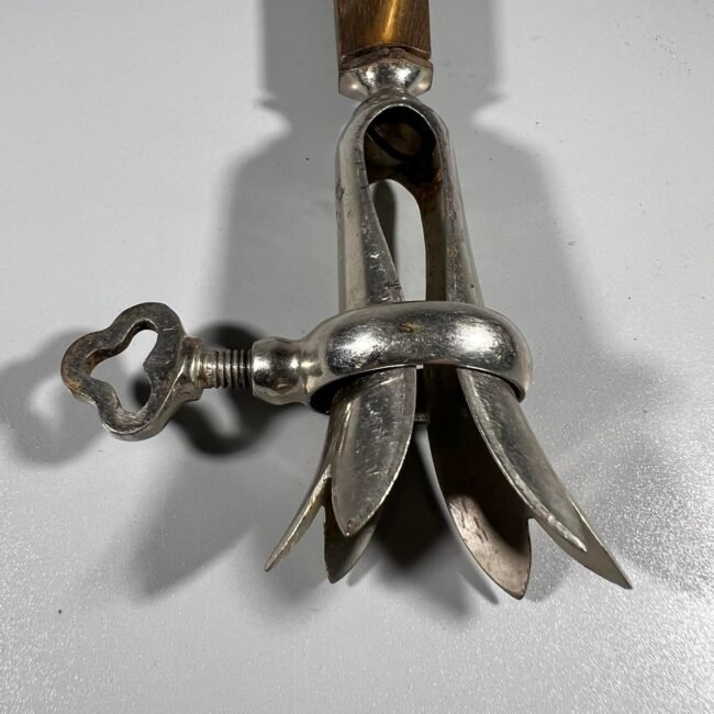 312514350_445741591030982_5673895452136472477_n.jpg 312514350_445741591030982_5673895452136472477_n.jpg