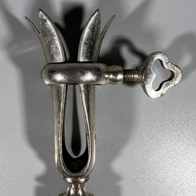 312530765_1260086351201242_1411768581481872279_n.jpg 312530765_1260086351201242_1411768581481872279_n.jpg