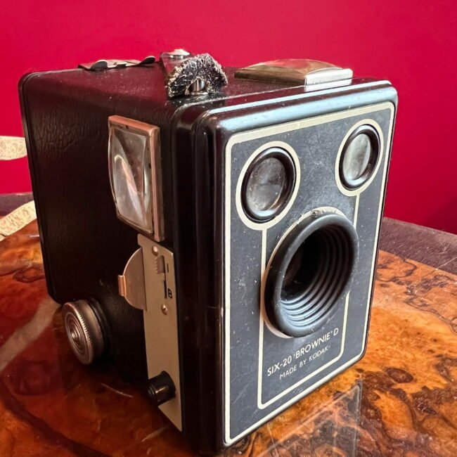 314992667_6052450114819209_3439678712561998190_n.jpg 314992667_6052450114819209_3439678712561998190_n.jpg