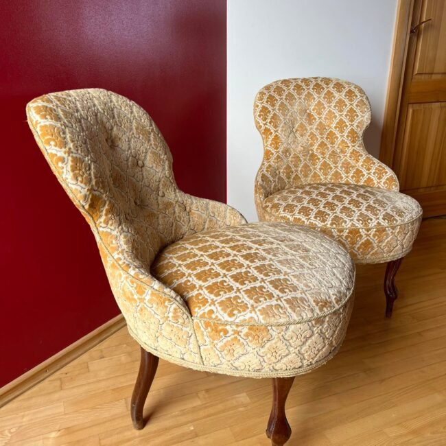 315521039_1855253684812519_3028873904102501314_n.jpg 315521039_1855253684812519_3028873904102501314_n.jpg