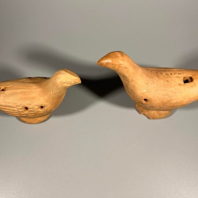 322130083_1262269831301968_359770611723555775_n.jpg 322130083_1262269831301968_359770611723555775_n.jpg