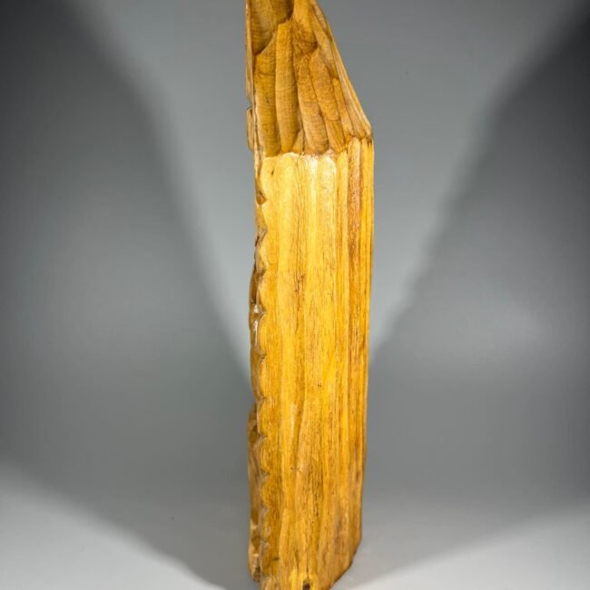 326787471_744379403626383_7647193920552360963_n.jpg 326787471_744379403626383_7647193920552360963_n.jpg