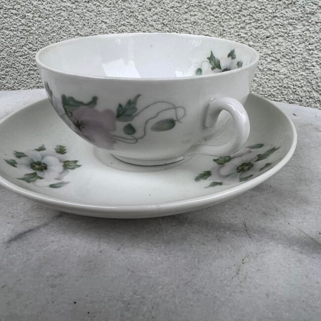 327112605_509344908064951_4888124867563755305_n.jpg 327112605_509344908064951_4888124867563755305_n.jpg