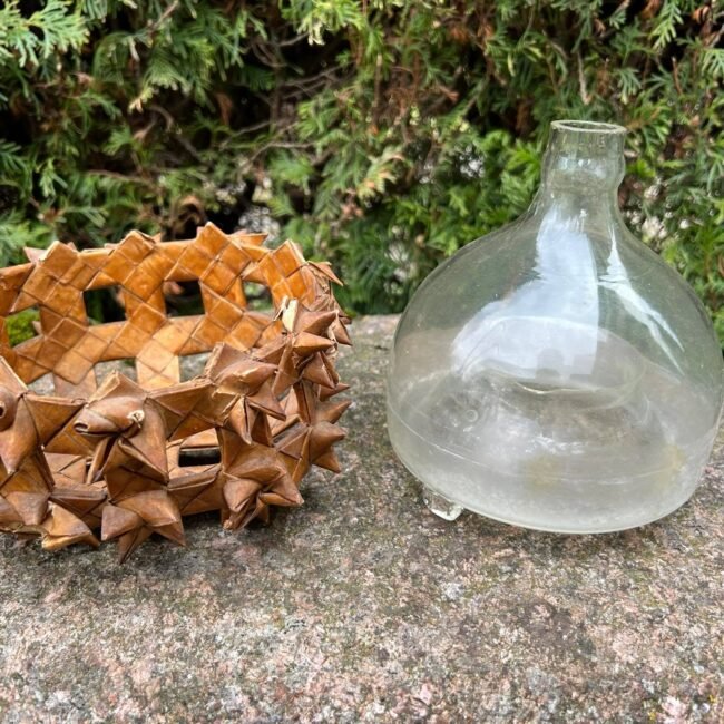 337567588_970296483961765_5946674434711044167_n.jpg 337567588_970296483961765_5946674434711044167_n.jpg