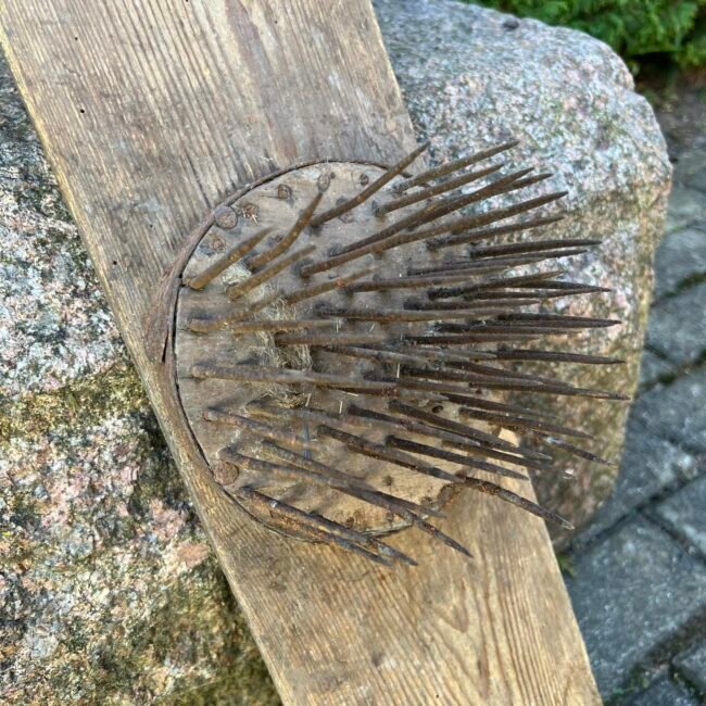 343643044_254365583771409_6100880973897460987_n.jpg 343643044_254365583771409_6100880973897460987_n.jpg