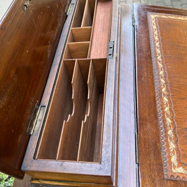 343790723_264261799337554_2702072999147752580_n.jpg 343790723_264261799337554_2702072999147752580_n.jpg