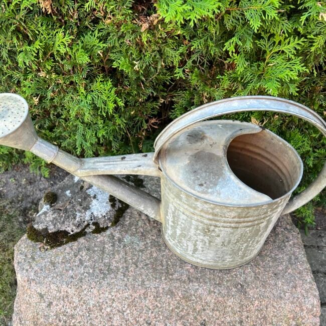 351436868_229717816481596_9101856127604597457_n.jpg 351436868_229717816481596_9101856127604597457_n.jpg