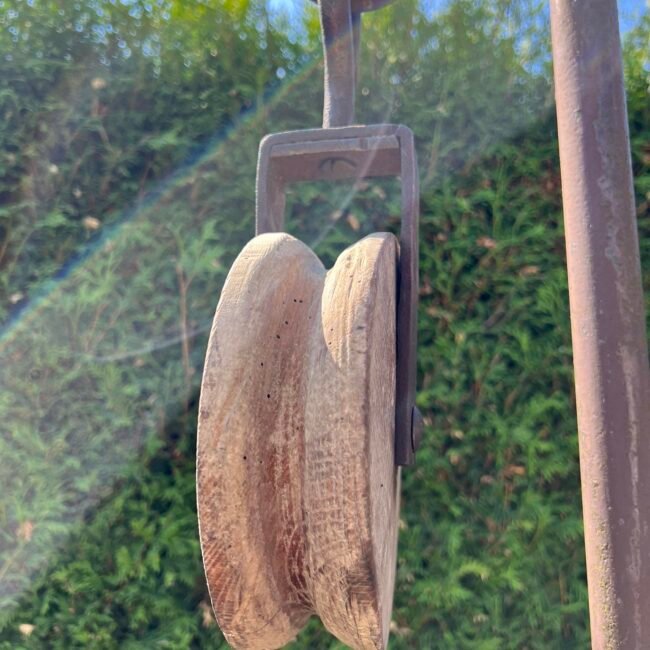 351968327_277430141368114_2057209879412272105_n.jpg 351968327_277430141368114_2057209879412272105_n.jpg