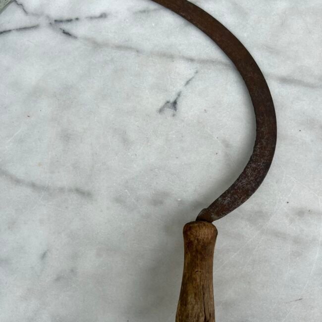 363899760_835471684822457_8568148693921191393_n.jpg 363899760_835471684822457_8568148693921191393_n.jpg