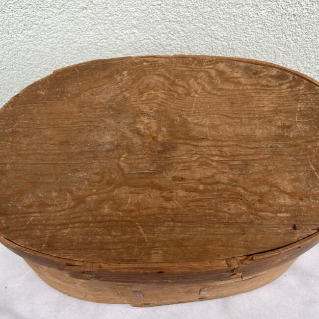 364183698_608513514766346_2691859195024200153_n.jpg 364183698_608513514766346_2691859195024200153_n.jpg