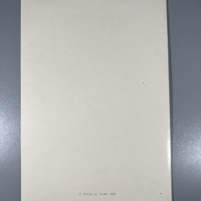 367686816_723525233011944_2077884713486395146_n.jpg
