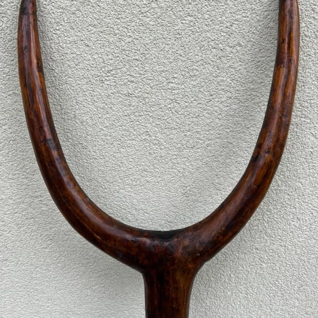 370544270_6631455480248951_5197992704357261113_n.jpg 370544270_6631455480248951_5197992704357261113_n.jpg