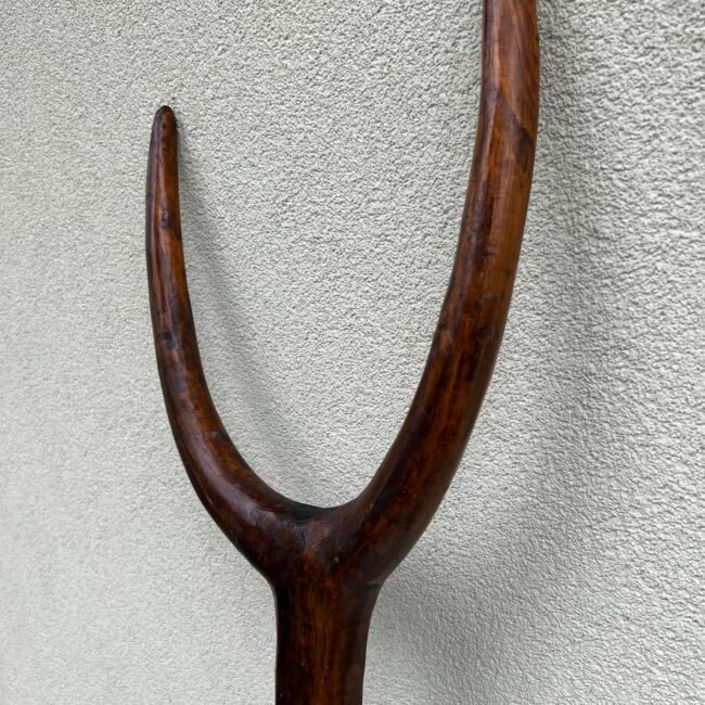 370558355_315141947571956_3298802599216458257_n.jpg 370558355_315141947571956_3298802599216458257_n.jpg