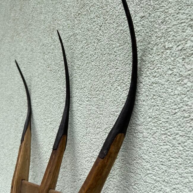 370581046_1996650170687262_8037083914521680226_n.jpg 370581046_1996650170687262_8037083914521680226_n.jpg