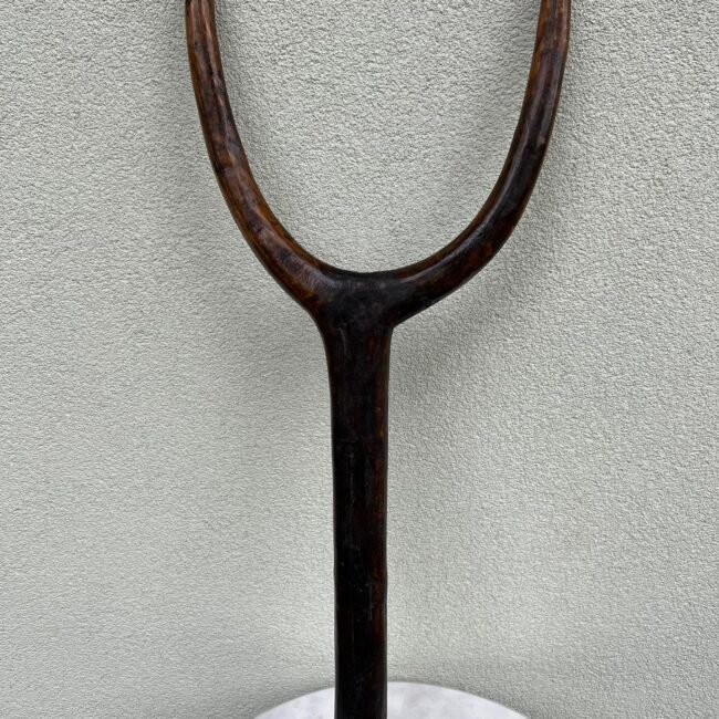 370586110_647810863982044_3524765037405178767_n.jpg 370586110_647810863982044_3524765037405178767_n.jpg