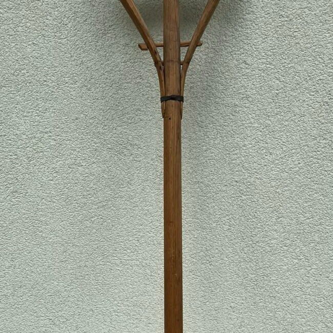 370590555_256878687186553_1137633589103846941_n.jpg 370590555_256878687186553_1137633589103846941_n.jpg