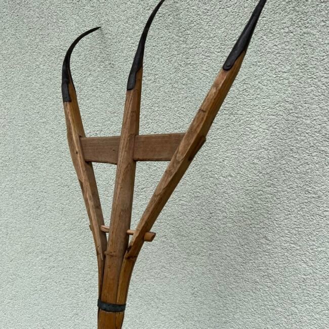 370591771_328410936271798_3213572093008969219_n.jpg 370591771_328410936271798_3213572093008969219_n.jpg