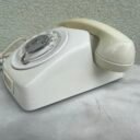 371059314_270553155912269_1894030575493208953_n.jpg