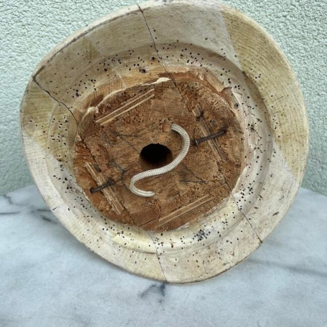 372739962_314354564604704_2833483267181094177_n.jpg 372739962_314354564604704_2833483267181094177_n.jpg