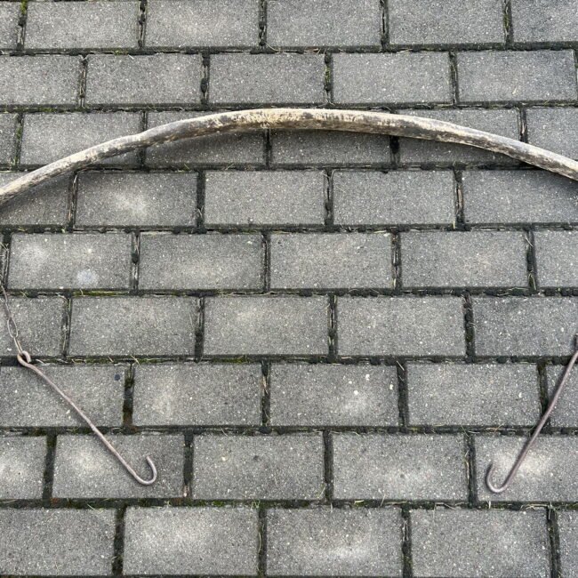 385360801_662974979266627_292714538207638121_n.jpg 385360801_662974979266627_292714538207638121_n.jpg