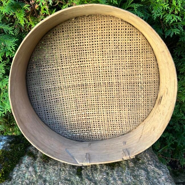 387563092_318024230923259_4077451297743413959_n.jpg 387563092_318024230923259_4077451297743413959_n.jpg