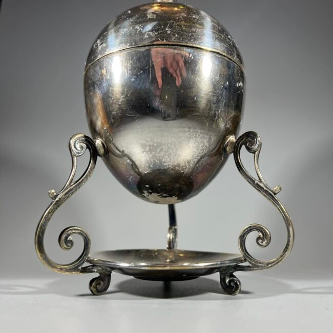 403416145_696255445618048_440666054320580536_n.jpg 403416145_696255445618048_440666054320580536_n.jpg