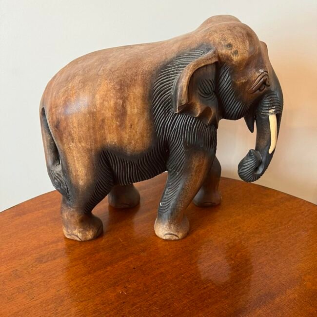 407054753_1494300804697151_4137135331133611828_n.jpg 407054753_1494300804697151_4137135331133611828_n.jpg