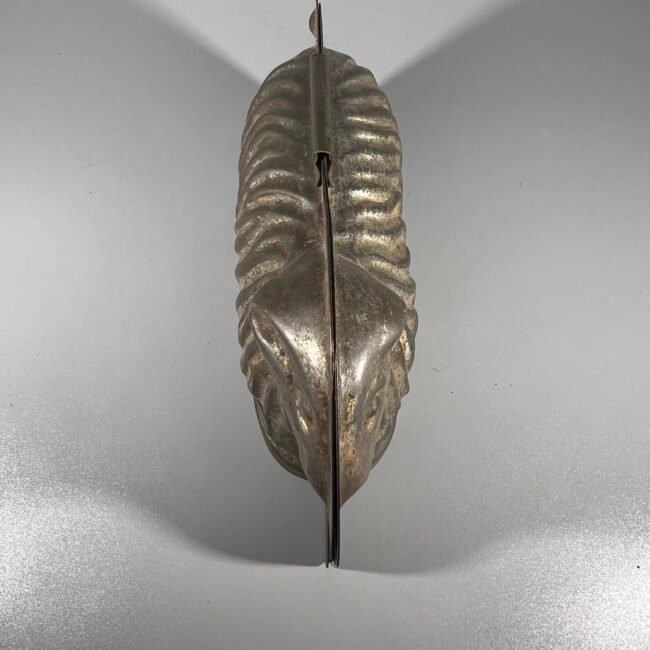 421635513_1431351327762948_168809779945291803_n.jpg 421635513_1431351327762948_168809779945291803_n.jpg