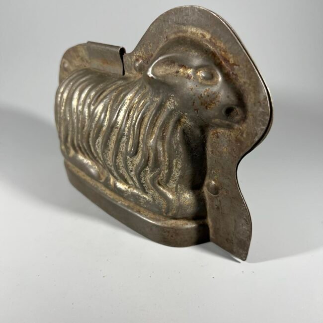 421678014_216744988189184_641851904527187515_n.jpg 421678014_216744988189184_641851904527187515_n.jpg